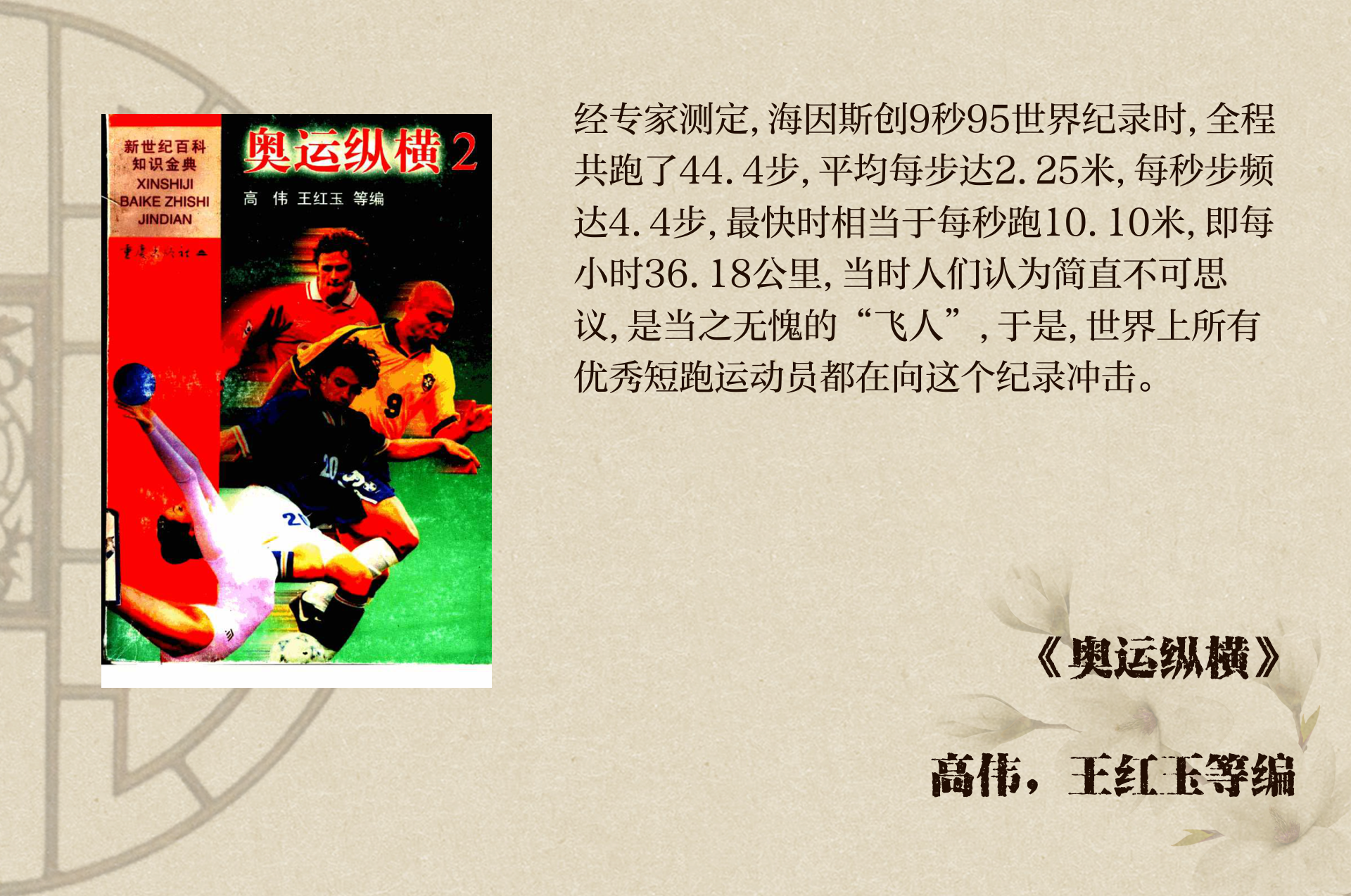 球场故事：运动员的动人追梦历程的简单介绍