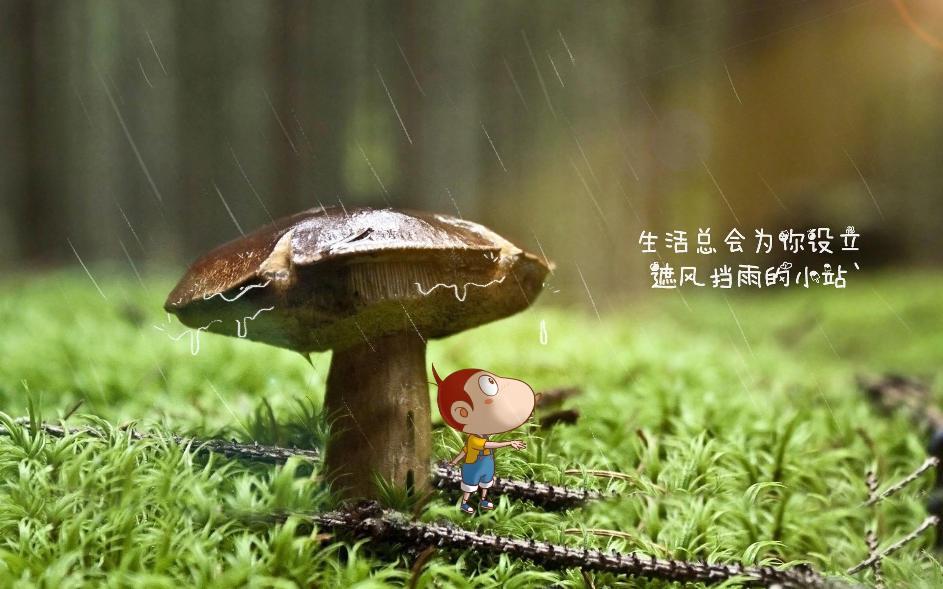 _勇士开启火力全开，三分雨持续_，勇士smailagic