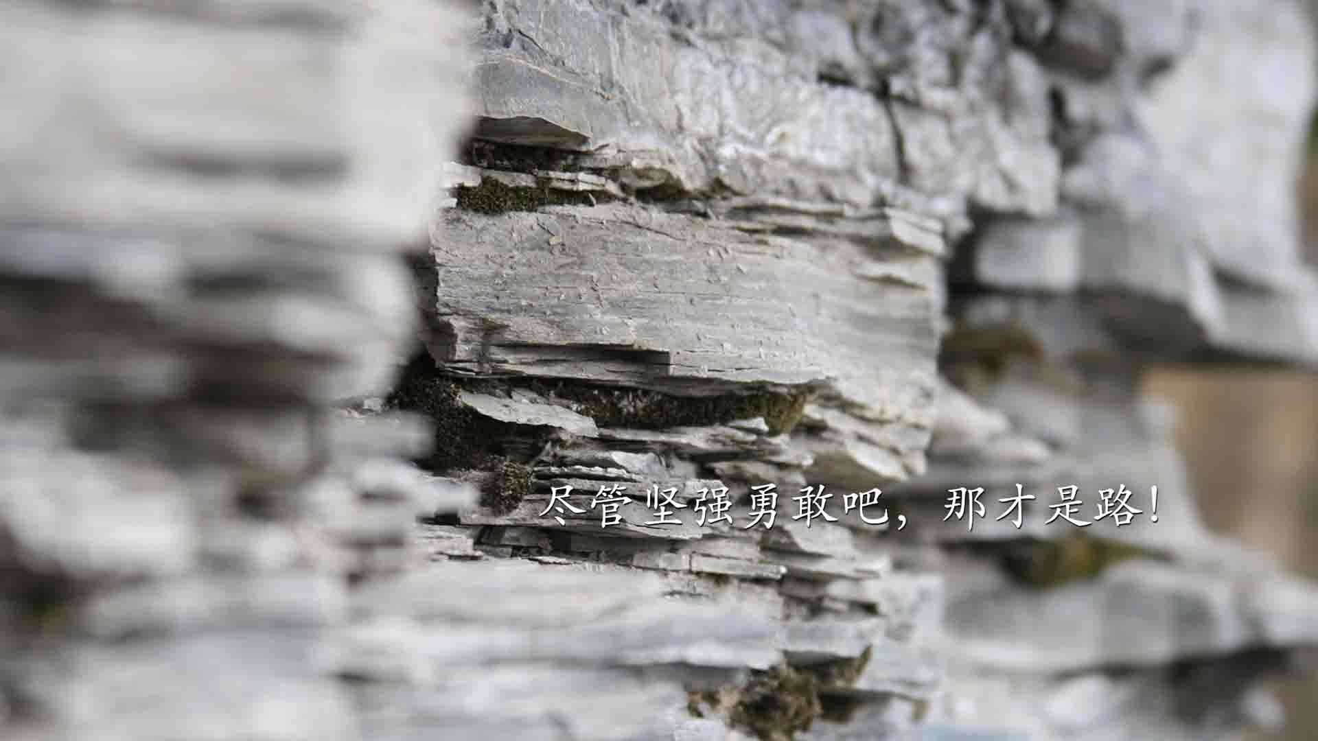 “泥泞狂潮：雨后泥地的极速追逐”，泥泞狂摆鱼