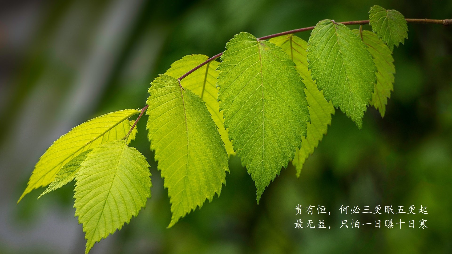 米兰体育正版平台-RNG选手心理素质培训加强，rng选手心理素质培训加强了吗