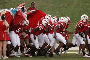 MILAN SPORTS-全国城际定向越野赛青少年组吸引众多参赛者，全国定向越野锦标赛