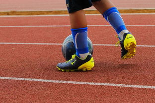 MILAN SPORTS中国站-意甲年轻球员防守意识发展趋势研究，意甲年轻后卫