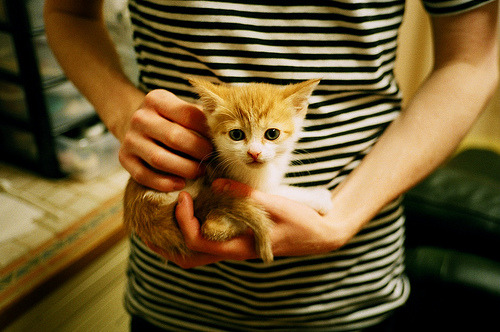 中国三人篮球男队灵活转换攻守节奏，中国三人篮球换人