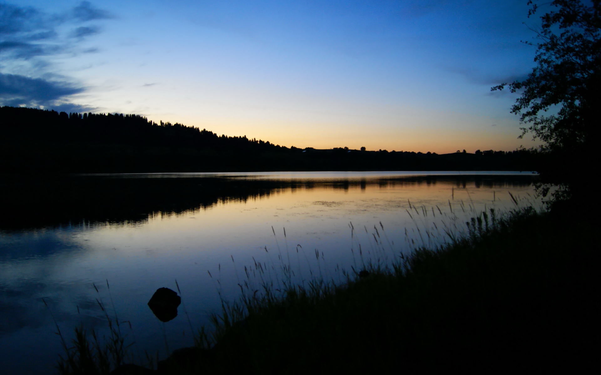图卢兹围绕速度展开战术布置，图卢兹怎么样
