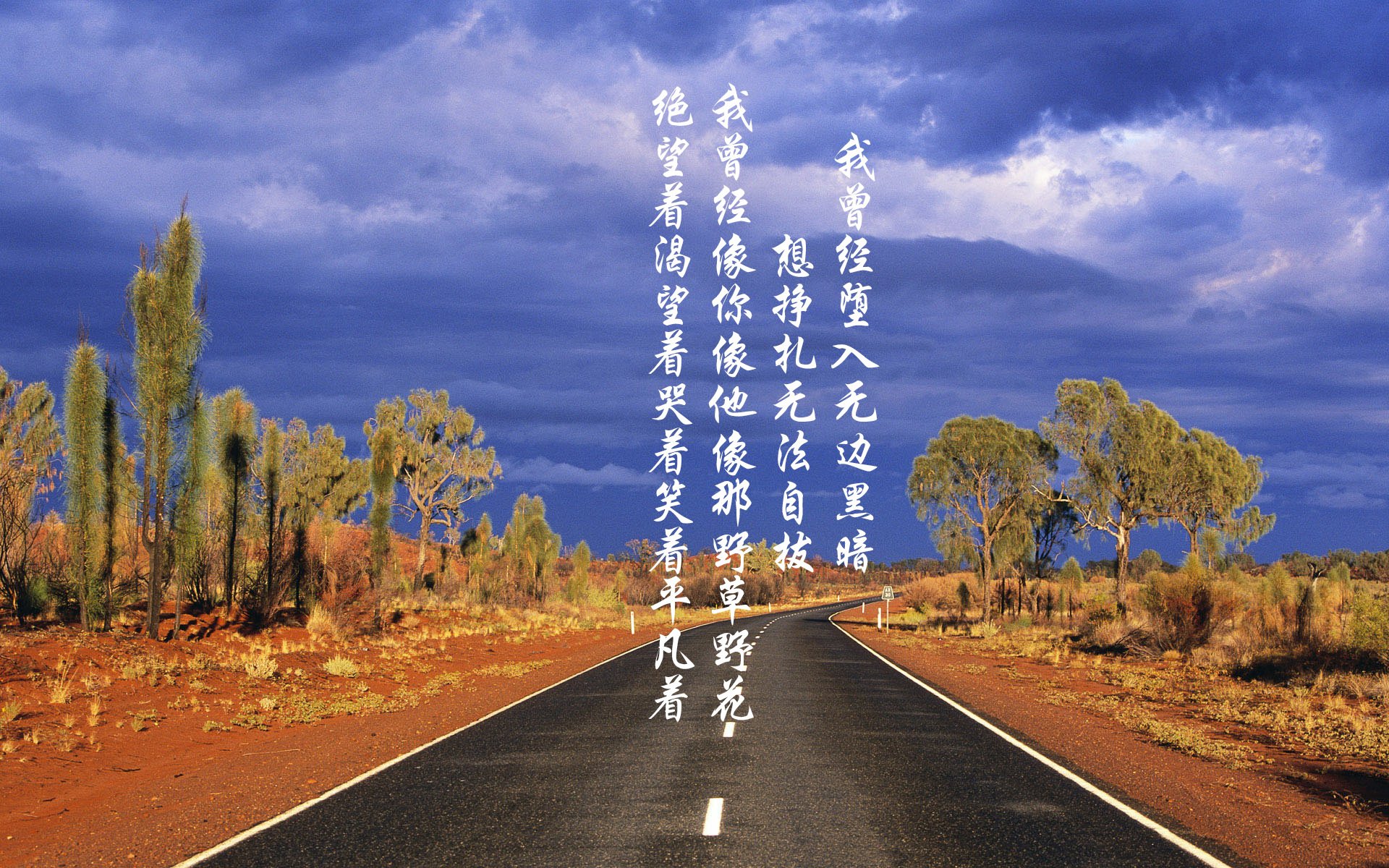 米兰体育APP下载-美洲杯激情爆棚：明星竞技，精彩纷呈！，z美洲杯