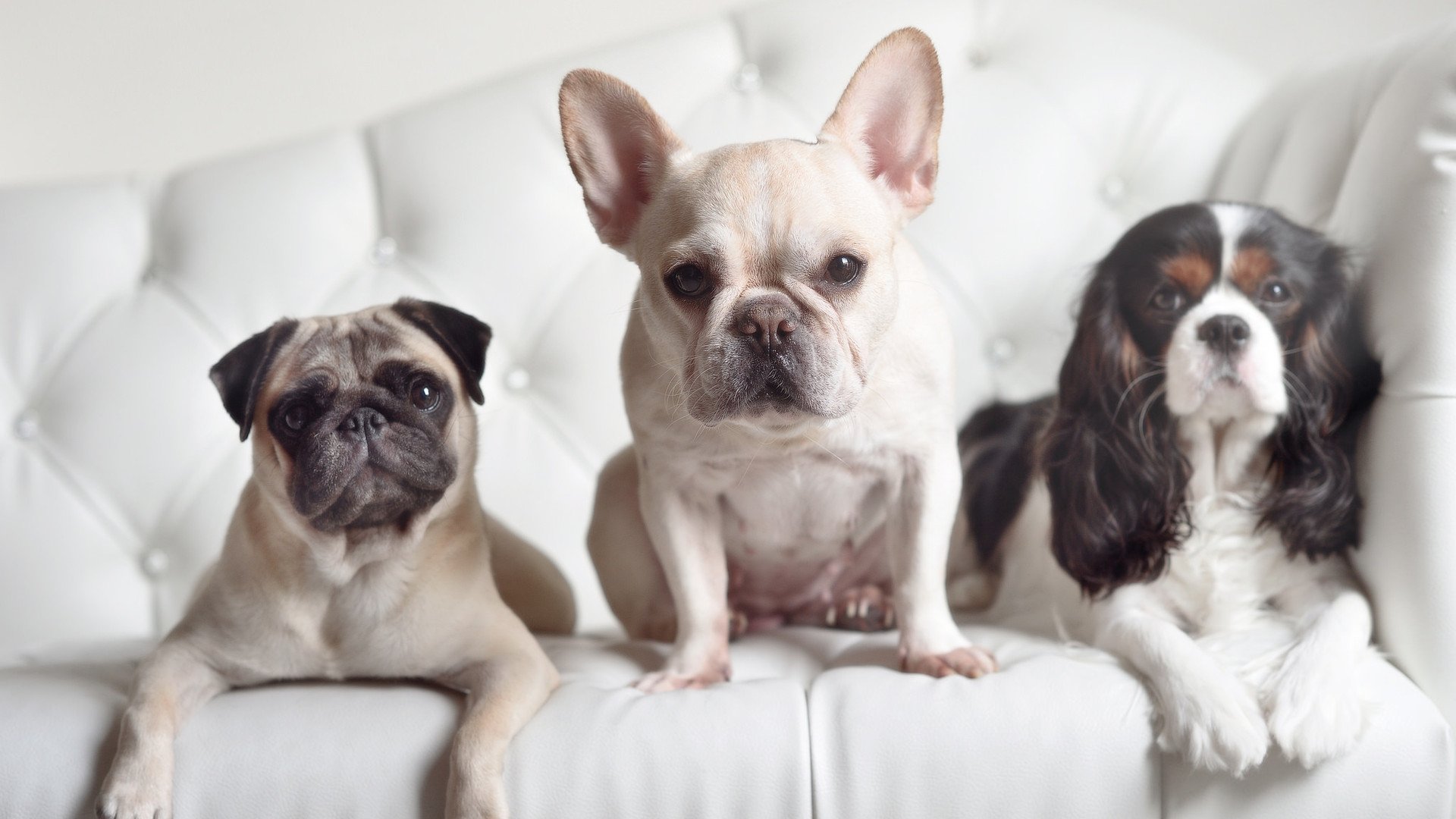 退役球员创立青训学校，推动基层篮球普及，篮球青训队一年多少钱