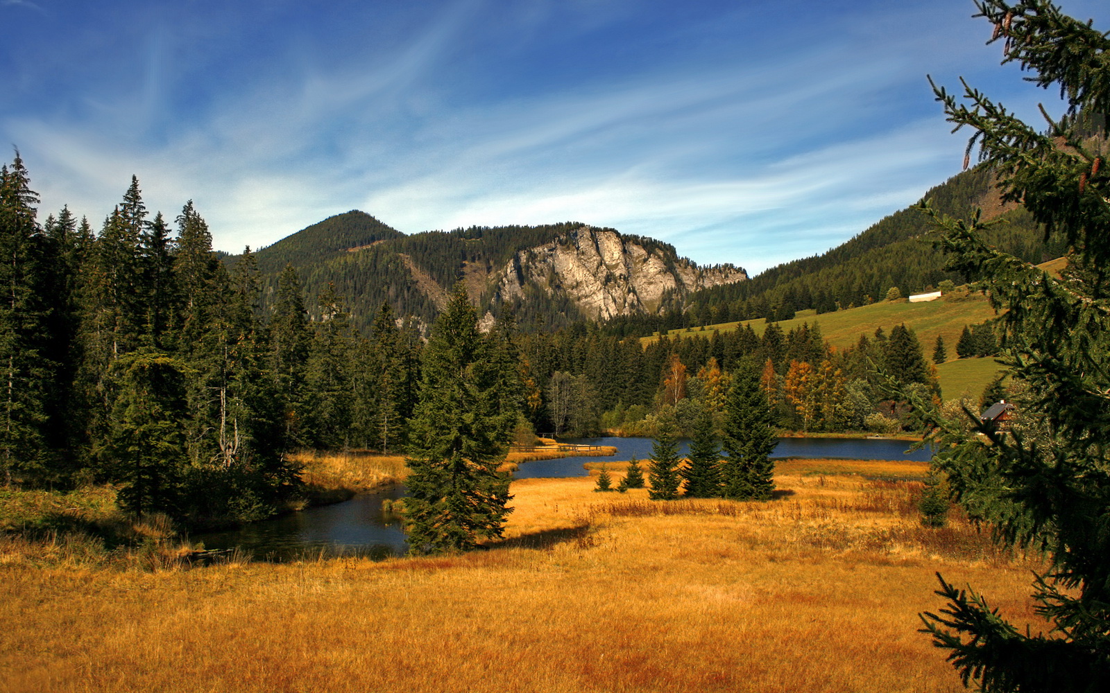 AC米兰赛程-黄蜂在主场提升反击效率球迷反应热烈，黄蜂的足球